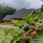 Cichosza W Szczyrku *