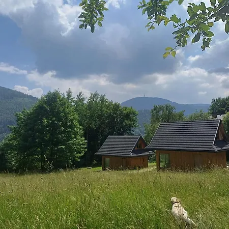 Domek alpejski Cichosza W Szczyrku *