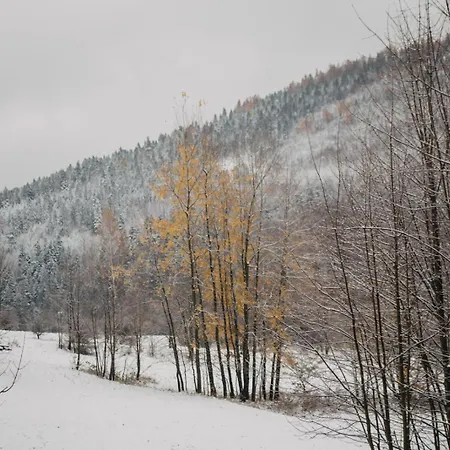 Cichosza W Szczyrku Domek alpejski Szczyrk