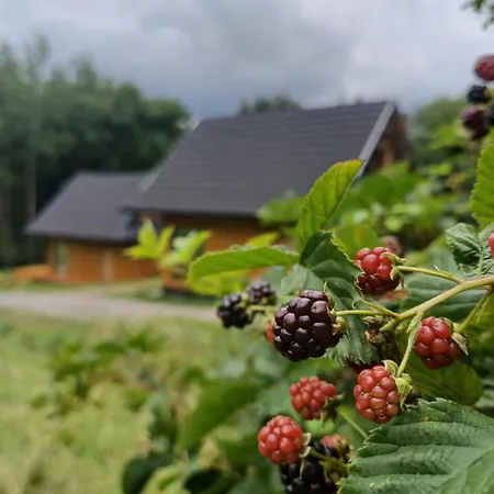 Cichosza W Szczyrku *