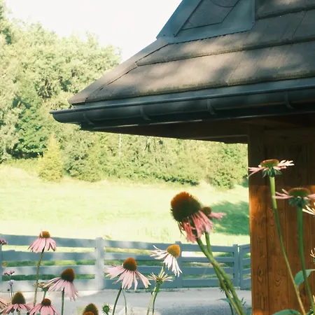 Cichosza W Szczyrku * Szczyrk