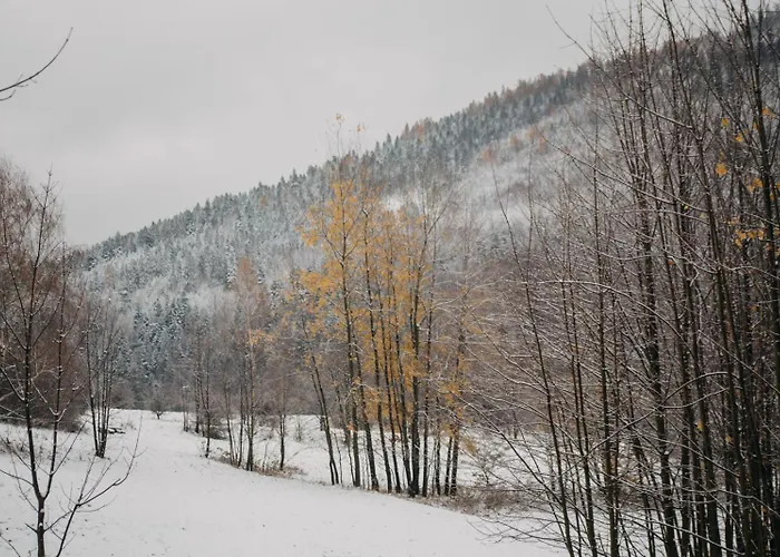 Cichosza W Szczyrku Chalet Szczyrk