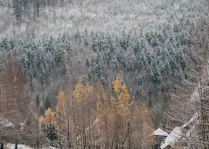 Chalet Cichosza W Szczyrku *