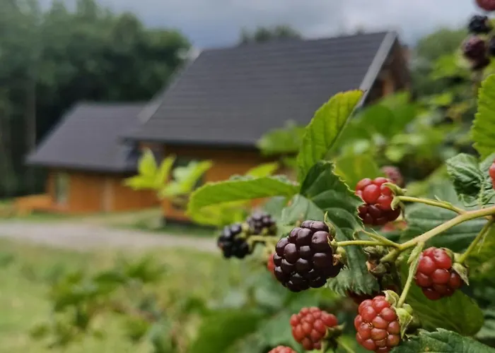 Cichosza W Szczyrku *