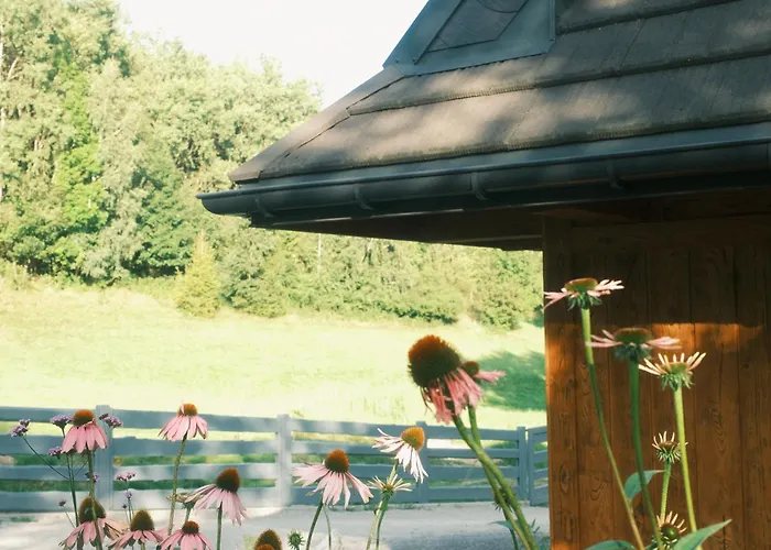 Cichosza W Szczyrku * Szczyrk